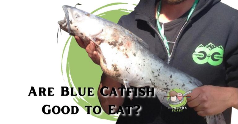 Are Blue Catfish Good to Eat?