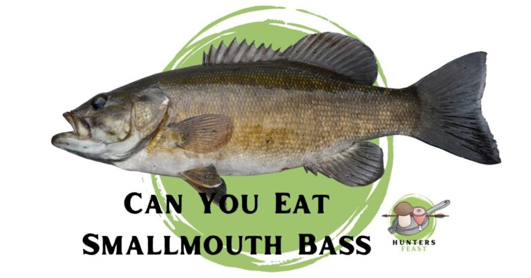 Can You Eat Smallmouth Bass? (Explained)