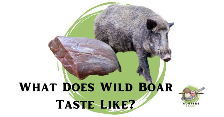 What Does Wild Boar Taste Like? (Explained)