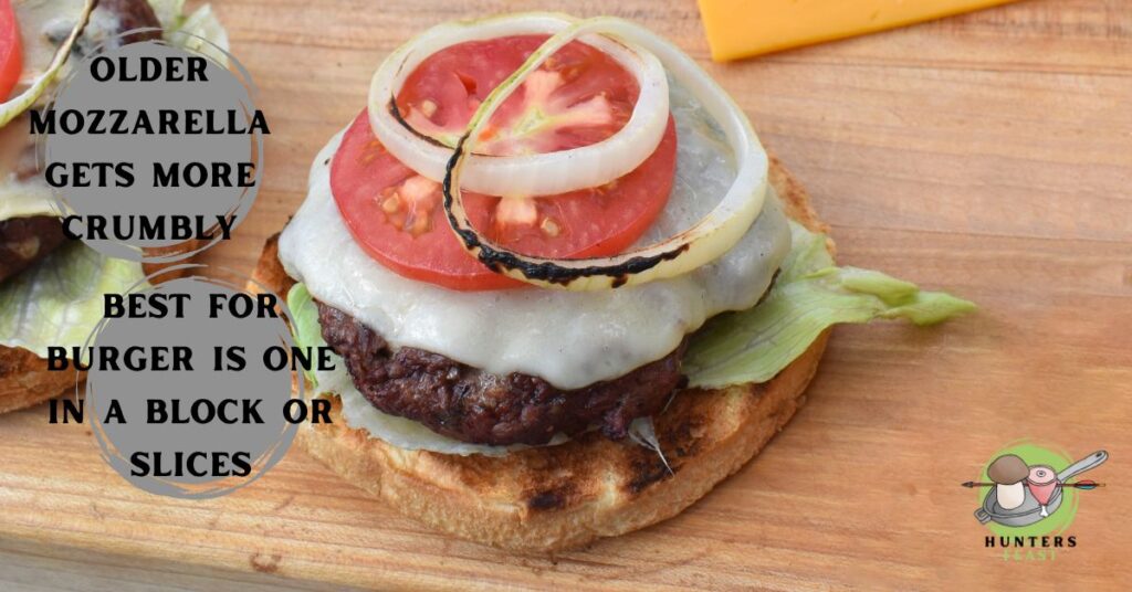 Best Cheese For Venison Burgers