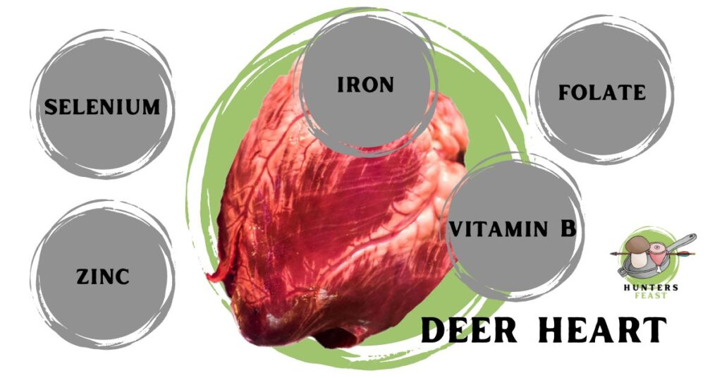Can You Eat Deer Heart?