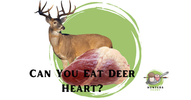 Can You Eat Deer Heart? (Explained)