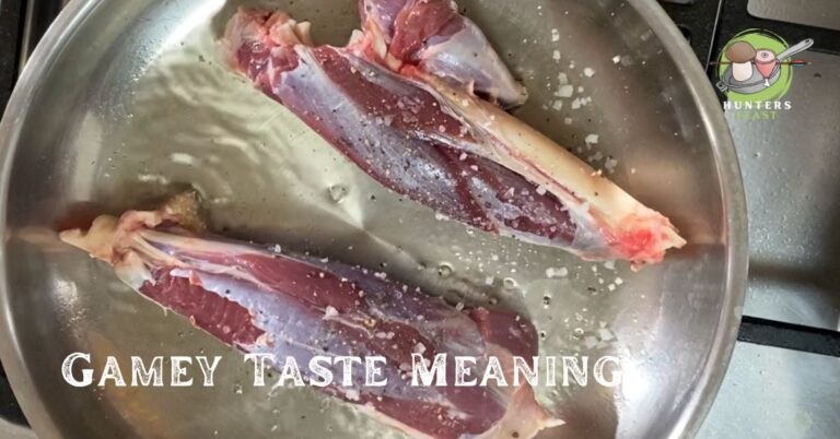 Gamey Meat Meaning Explained