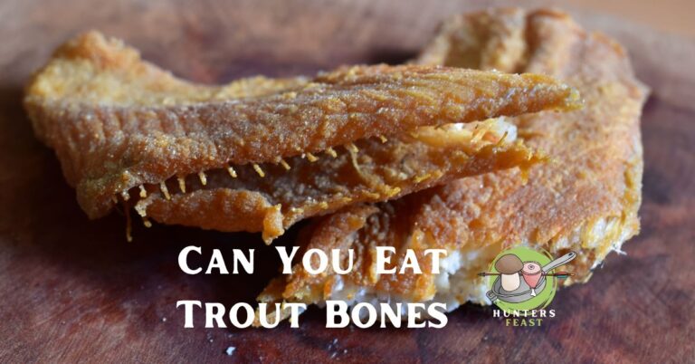 Can You Eat Trout Bones? (Explained)
