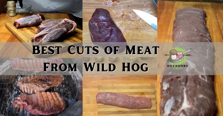 Best Cuts of Meat From Wild Hog