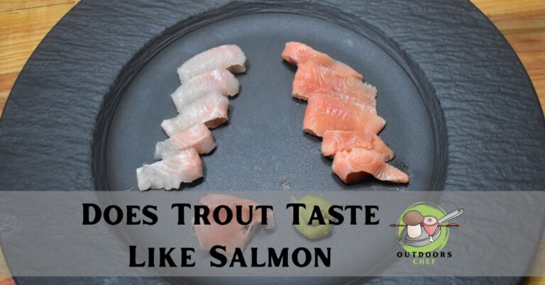 Does Trout Taste Like Salmon (Explained)