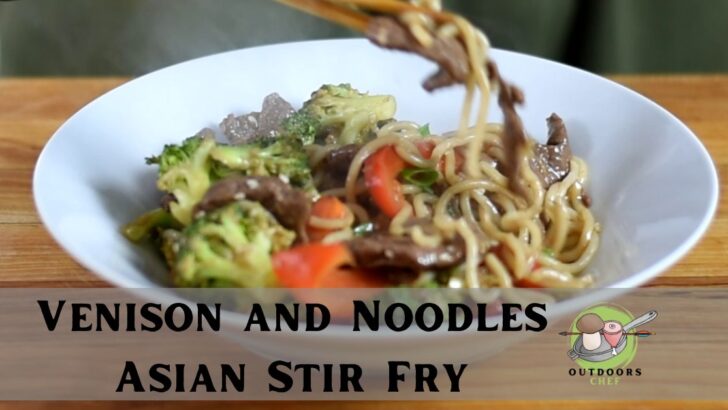 Venison and Noodles Asian Stir Fry