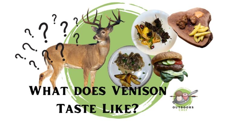 What does Venison Taste Like?