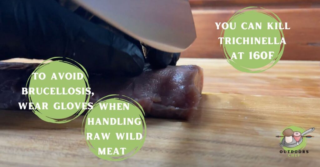 Wild Boar Meat Disadvantages