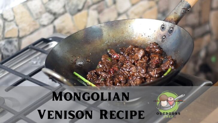 Mongolian Venison Recipe