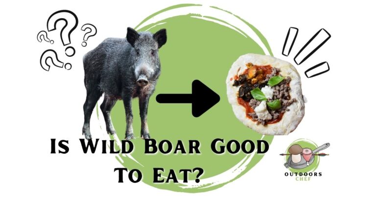 Is Wild Boar Good To Eat?