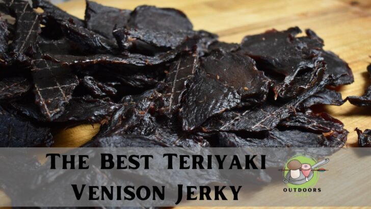The Best Teriyaki Venison Jerky