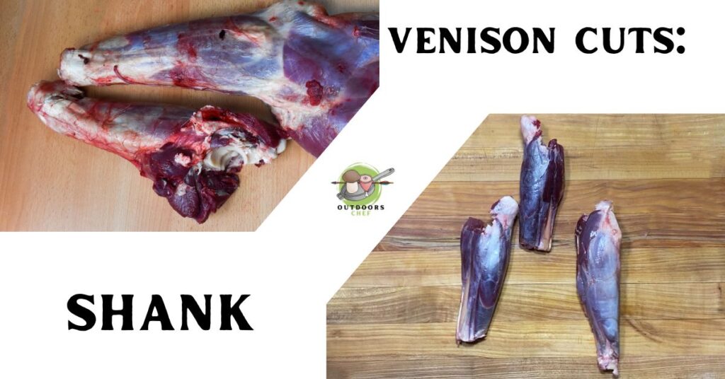 Best Cuts of Venison