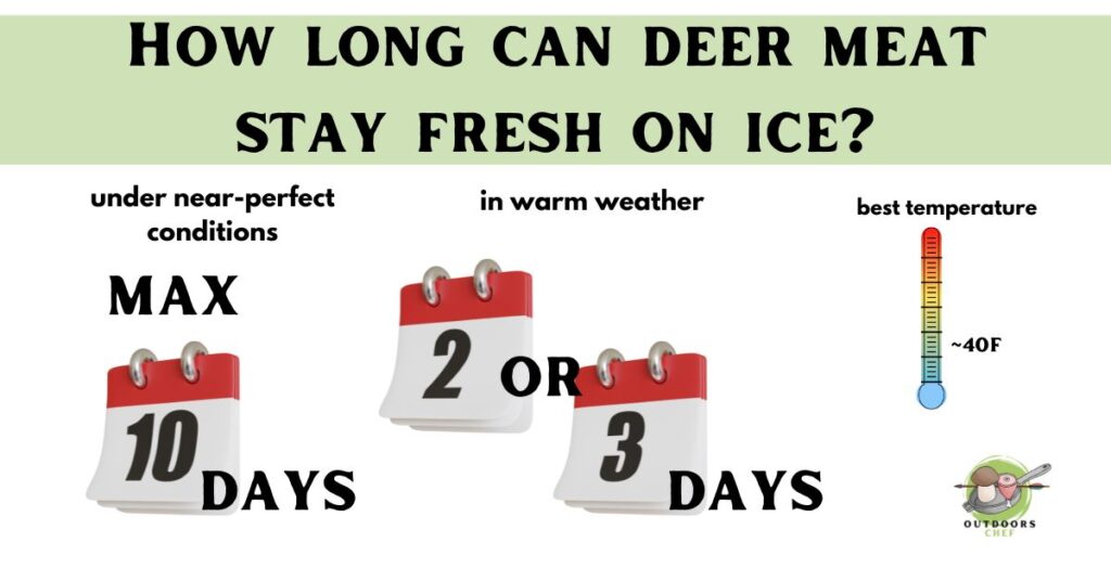 How long can deer meat stay fresh on ice?