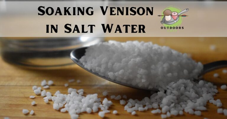 Soaking Venison in Salt Water (Explained)
