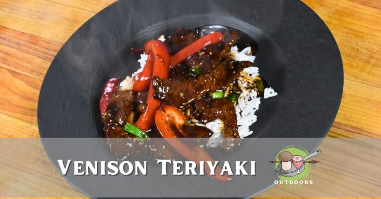 Venison Teriyaki Recipe (Easy)