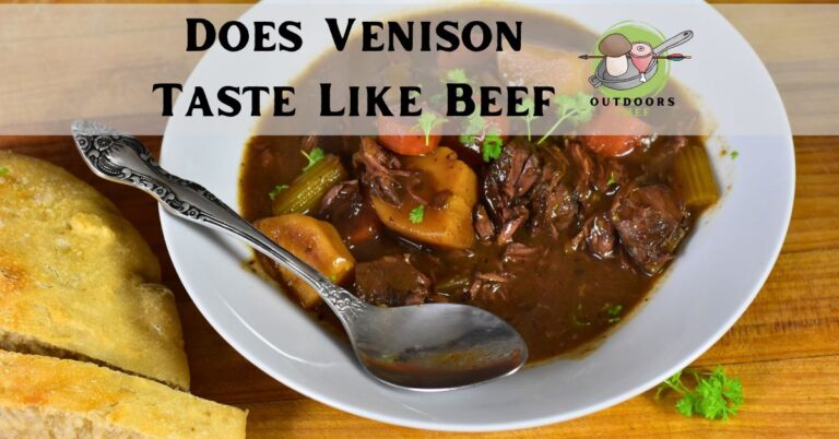 Does Venison Taste Like Beef